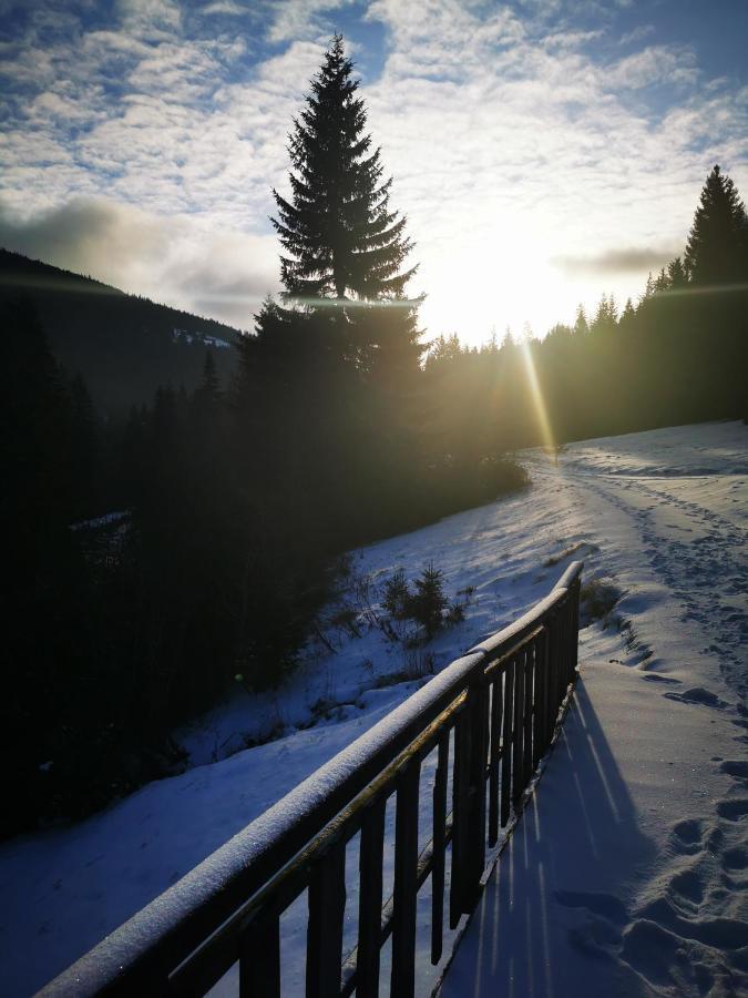 Chata Pod Studnicnou Pec pod Sněžkou Exterior foto