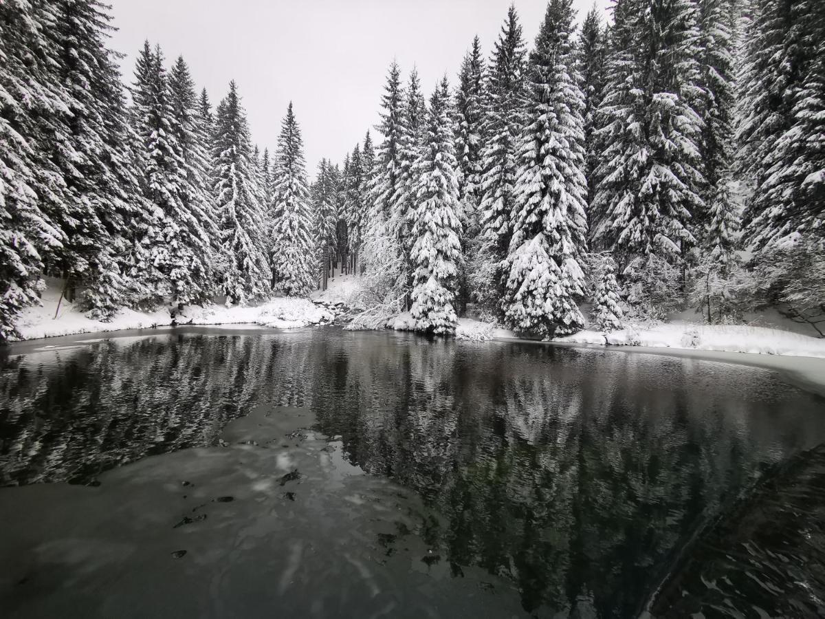Chata Pod Studnicnou Pec pod Sněžkou Exterior foto